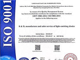 ISO 9001-英文